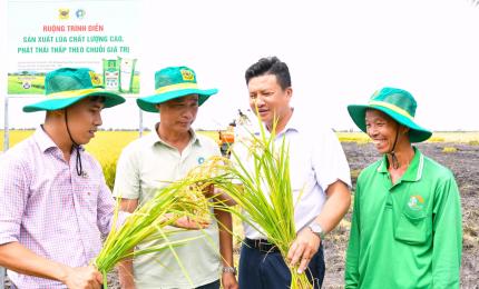 Các đại biểu tham qua mô hình